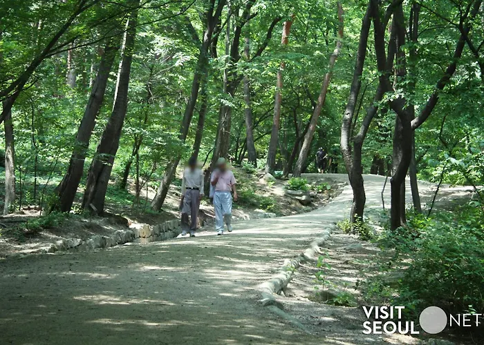오늘stay 대치ㅣ한티역 5분ㅣ선릉ㅣ강남중심ㅣcoexㅣ롯데타워ㅣkspoㅣ무료주차ㅣ강남세브란스
